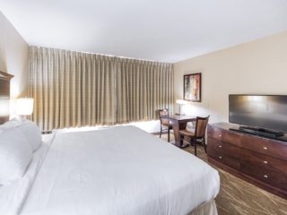 STANDARD GUESTROOM | KING